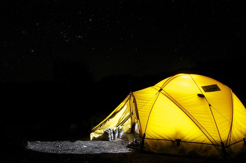 Camping Tents in the Wild
